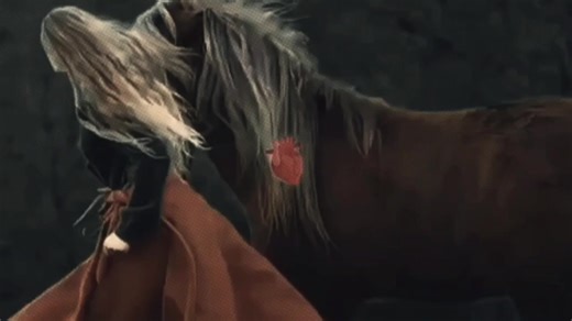 Edit de vidéos pour les amoureux des chevaux