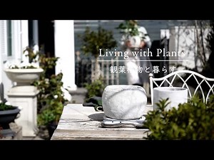 暮らしのVLOG : 観葉植物と暮らす/ 春に向けたお手入れと殺虫