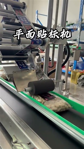 Bags snack bag flat surface sticker labeling machine #machine #cleanerfillingmachine #cnc#automobile