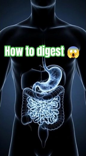 Food Digestion Inside the Human Body | Complete Process #facts