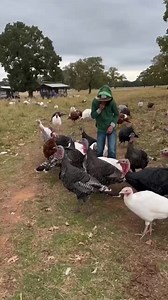 Gen posted this video ab her 2021 in review | Jared & Genevieve Padalecki