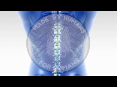 Back Pain - Herniated Disc - RIFE - Healing Frequency - Sound Therapy