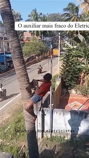 elétrica alta tensão® on Instagram: "⚡️MEGA PROMOÇÃO - Entre no Grupo VIP de Espera no Whatsapp (LINK NA BIO) Serão + de 20 Cursos de Elétrica e Automação na Autoflix Treinamentos. Veja a lista abaixo 👇 🔥 OS CURSOS MAIS REQUISITADOS DA INDÚSTRIA BRASILEIRA HOJE! 🔥 Nunca na História fizemos algo parecido com o que vai acontecer este mês na Autoflix. Todos os que estão participando do nosso Grupo VIP de reserva do WhatsApp terão acesso ao ÚNICO e mais SURREAL DESCONTO da história em TODOS os no