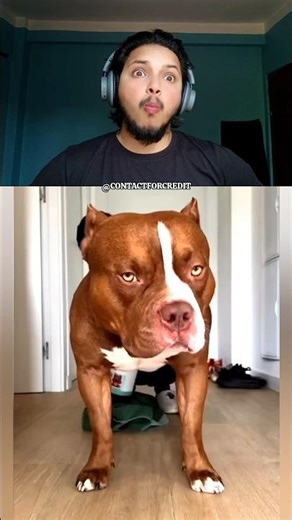 You laugh, you lose 233😜 #shorts #funny #trending