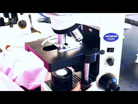 Performing a Manual Differential