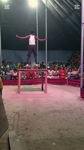 most dangerous activities in circus