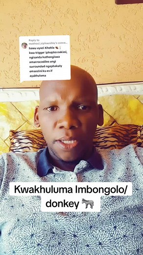 Kwakhuluma Imbongolo/Donkey Can Speak in Israel 🇮🇱