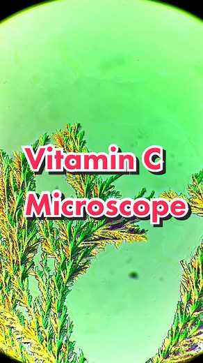 Crystal Growth Time-lapse Experiment