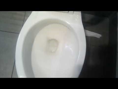 Family Restroom Shoot & Excel Dryer Xlerators | Walmart Supercenter, Nazareth Rd | Easton, PA