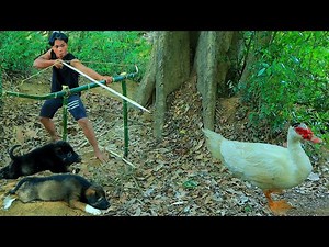 Survival in the rainforest- Man smart dog shoot duck by bamboo bow and eat duck -Eating
