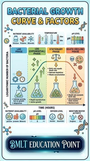 Mastering the Bacterial Growth Curve! 🔬🧫 #bacteria #microbiology ‪@BmltEducationPoint7‬