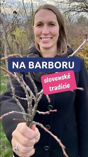 🌸🎅🏻 Slovenské tradície na Barboru (Learn Slovak | Culture)
