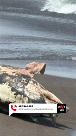 ¿Quién vigilaba? La deuda de SENER en Veracruz