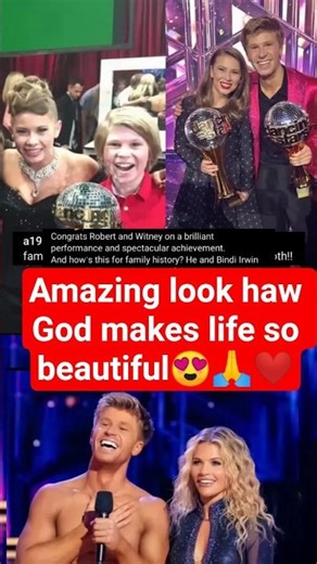 robert irwin #trending #news #shorts