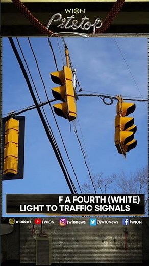 Researchers propose a fourth light on traffic signals | WION Pitstop