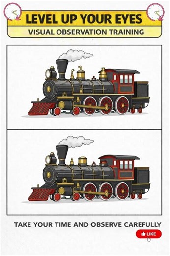 Focus and Observation Exercise