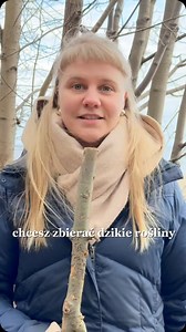 A co jak się pomylę? 😳 Ile razy to słyszałam! Prawda jest taka, że jeśli tylko wiesz na co zwracać uwagę to pomyłka jest niemożliwa 🙂 Weźmy taką gwiazdnicę, jak ją odróżnić od podobnych roślin? 👉 Przetacznik ma zupełnie inny kształt liści No i niebieskie kwiaty a gwiazdnica kwiaty ma białe 👉 Możylinek trójnerwowy ma nieco inny pokrój kwiatu, ale co najważniejsze ma 3 nerwy biegnące wzdłuż liścia, a gwiazdnica ma tylko 1 główny Chcesz zbierać dzikie rośliny tej wiosny bez obawy o pomyłkę? Zap