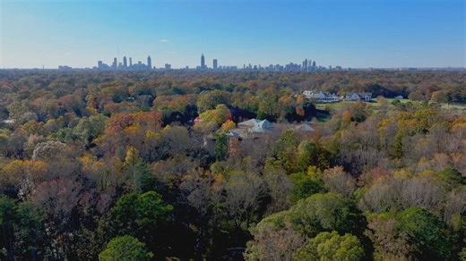Fernbank Forest remains treasure in Atlanta as Fernbank Museum celebrates 32nd anniversary