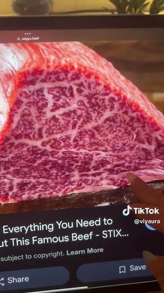 Wagyu beef wave art hack challenge thing #art #artist #drawing #draw #artprocess