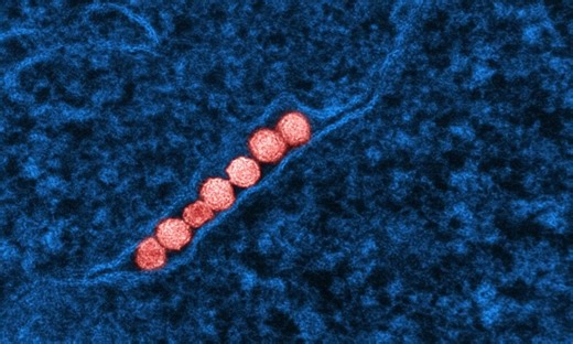Spherical Nucleic Acids Dramatically Improve Chemotherapy Delivery