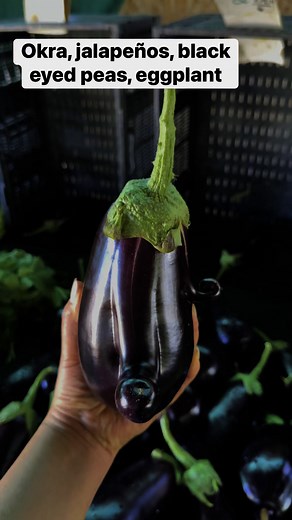 Corona Farms on Reels