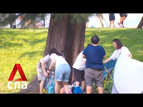 Commentary: Superstitions on Tiger or Dragon year babies won’t disappear, but they will evolve