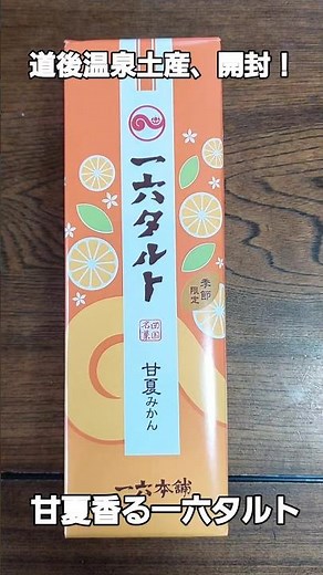 道後温泉帰りに買った一六タルトを実食！
