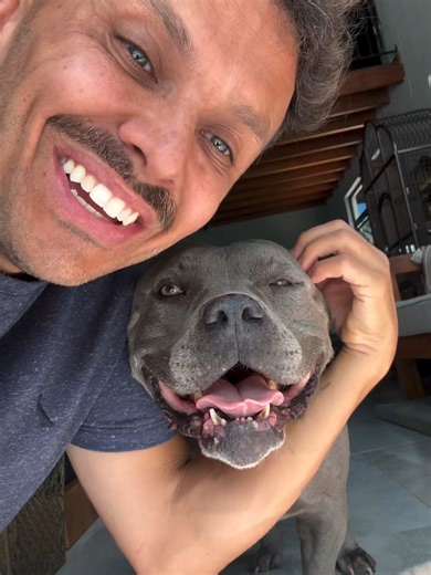 Understanding Pitbull Behavior: A Comprehensive Guide