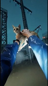 Please take care of your pets🙏🐕🐈#cats#dog#ai#tornado#rain#shorts#trending#emotionalai😭😭😭