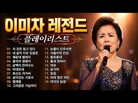 이미자세종문화회관