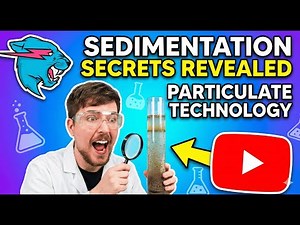 PARTICULATE TECHNOLOGY SEDIMENTATION 2