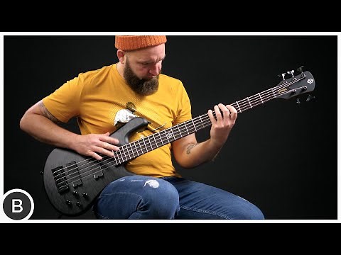 SPECTOR NS PULSE II BASSES