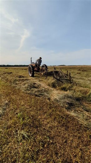966 reactions · 28 shares | From start to finish - cutting, raking and bailing our hay field with our 1944 Farmall H. #thistlegatefarm #regenerativeagriculture #familyfarm #michiganfarmer #farmalltractors #farmallh #cuttinghay #starttofinish | Thistle Gate Farm | Facebook