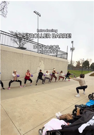 Stroller Barre®: Strengthening Mothers with Baby