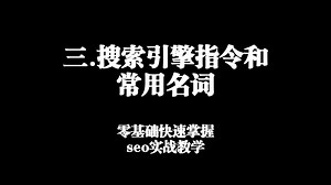 三.搜索引擎指令和常用名词