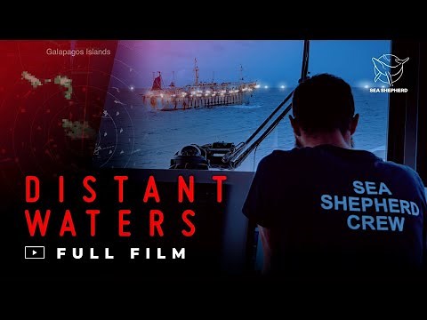 Distant Waters | Full film | Sea Shepherd Global