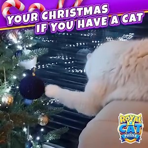 1.3K views · 59 reactions | Feline holiday antics: Cat's special talent -  redecorating the tree by carefully removing each ornament.  Who else has a festive feline artist?  | Royal Cat Puzzle | Facebook