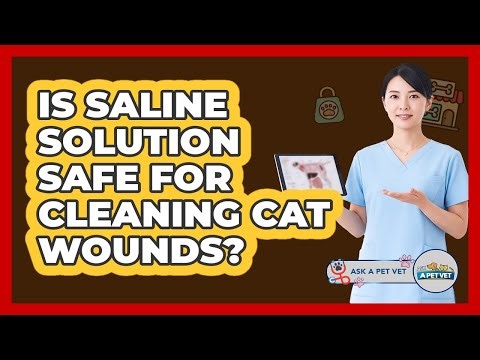 Is saline solution safe for cleaning cat wounds?