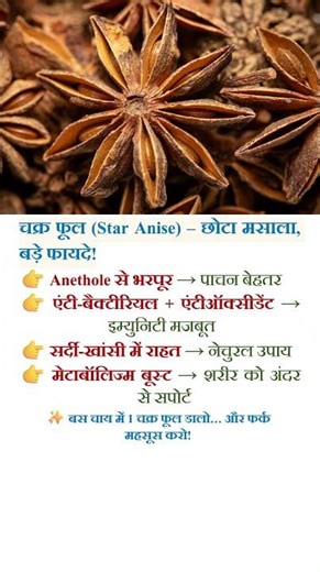 किचन का ये hidden gem आपकी health बदल सकता है 😍 #StarAnise #ChakraPhool