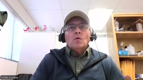 Report: New Mexico tree deaths doubled in 2024