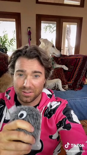 Exploring the Jack Russell Terrier Breed: A History of England's Hunting Dogs