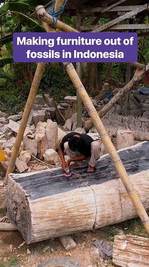 These #fossils came from 20 million-year-old trees. Now, they're being used to make furniture. #PetrifiedWood #Woodwork | Business Insider