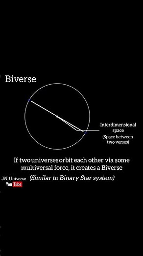 Biverse concept (Two Universe system)