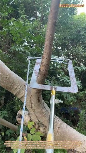 Agriculteur fixant des cordes à l'aide d'un outil d'enfilage de cordes dans la canopée