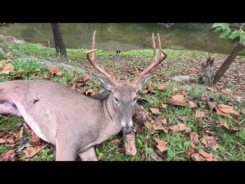 Hiked 12 Miles For This Buck!! (Bow Hunting & Fishing) #outdoors #fyp #foryou #hunting #archery