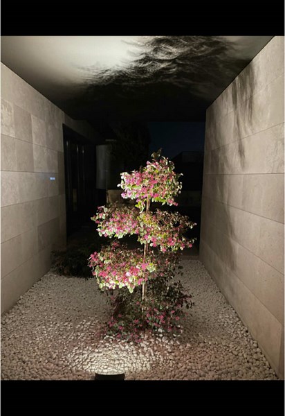 Patios interiores⬇️ Los patios interiores han ganado popularidad en el diseño de las viviendas, convirtiéndose en un espacio ideal para poder disfrutar de cada punto de tu vivienda de un espacio de esparcimiento.🌸 Estos espacios no solo añaden belleza, sino que también ofrecen múltiples beneficios que los hacen únicos.🌴 Siempre intentando buscar y crear entornos únicos para vuestros hogares. Seguimos💪 #jardineria #jardines #jardin #jardineros #valladolid #patiosinteriores #diseñodejardines #l