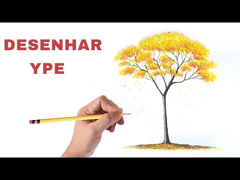 Como Desenhar uma Árvore ipê amarelo e pintar com lápis de cores / ype Tree