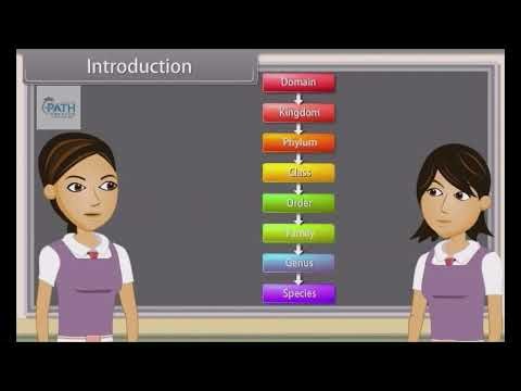 Biological Classification II