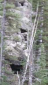 62K views · 1K reactions | Chenowith Bigfoot-Like Vocalizations & Samurai Chatter #bigfoot #sasquatch | Rocky Mountain Sasquatch Organization | Facebook
