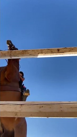 Amazing! Horse Jumping Fences - Hunter - Jumper Snail's Eye View! #shorts